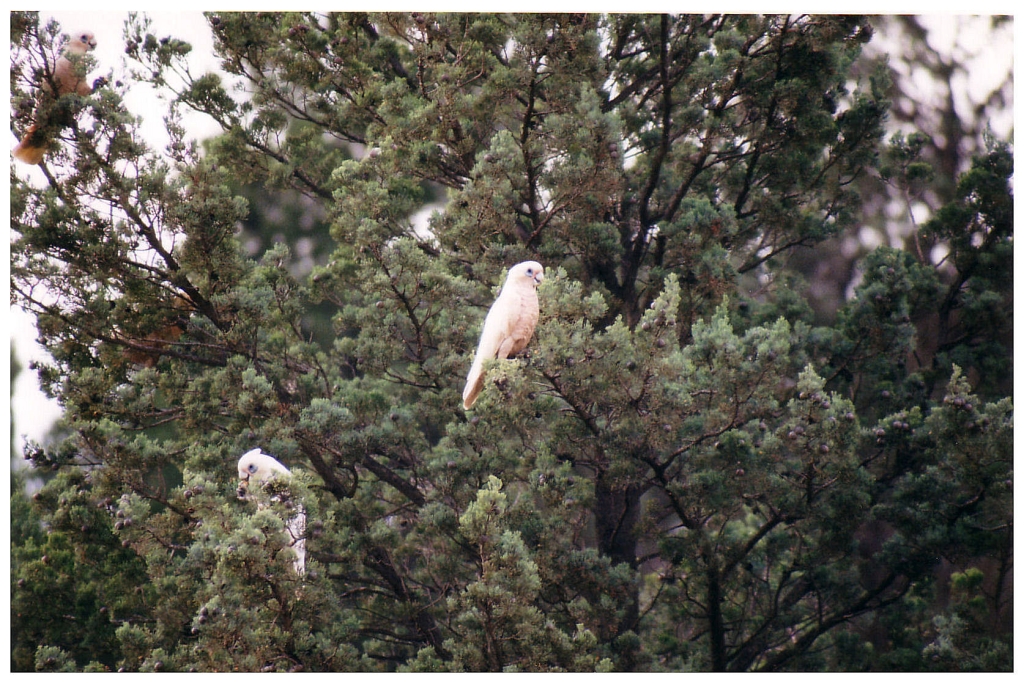 03 - The Flinders Ranges (10).jpg